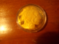 Glade Buffalo Gold Coin