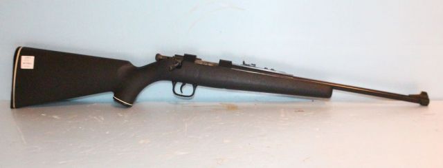 Daisy Model 8 .22 LR