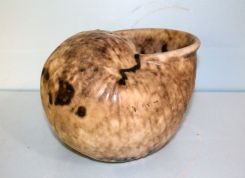 Large McCarty Pottery Shell/ Vase