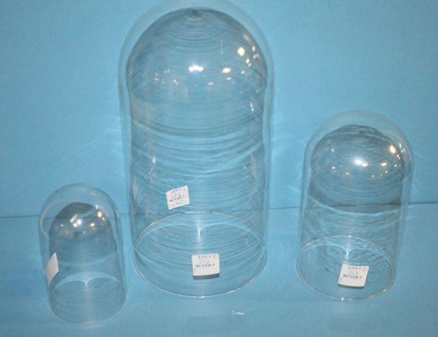 Three Various Sized Glass Domes