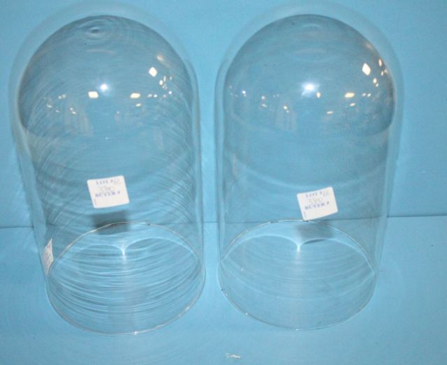 Two Glass Domes