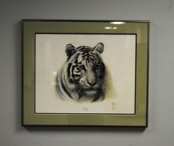 Prints of African Leopard & White Tiger