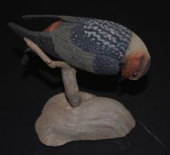 National Audubon Society Bird Sculpture 