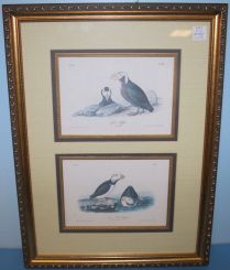 Pair of Color Lithographs 