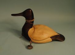 Duck Decoy