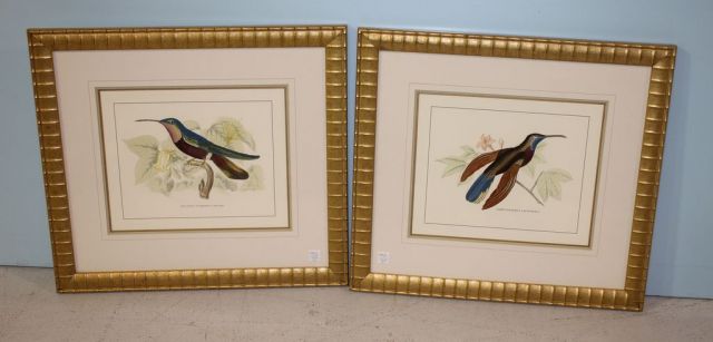 Pair of Antique Hand Colored Prints of Hummingbirds