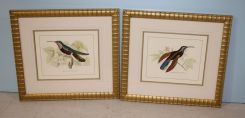 Pair of Antique Hand Colored Prints of Hummingbirds