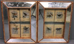 Pair of Paper Pictures of Birds in Shadowbox Mirrored Frame