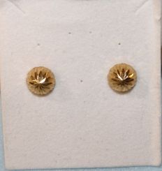Pair 10K Yellow Gold Earrings