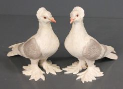 Pair of Boehm Tumbler Pigeons